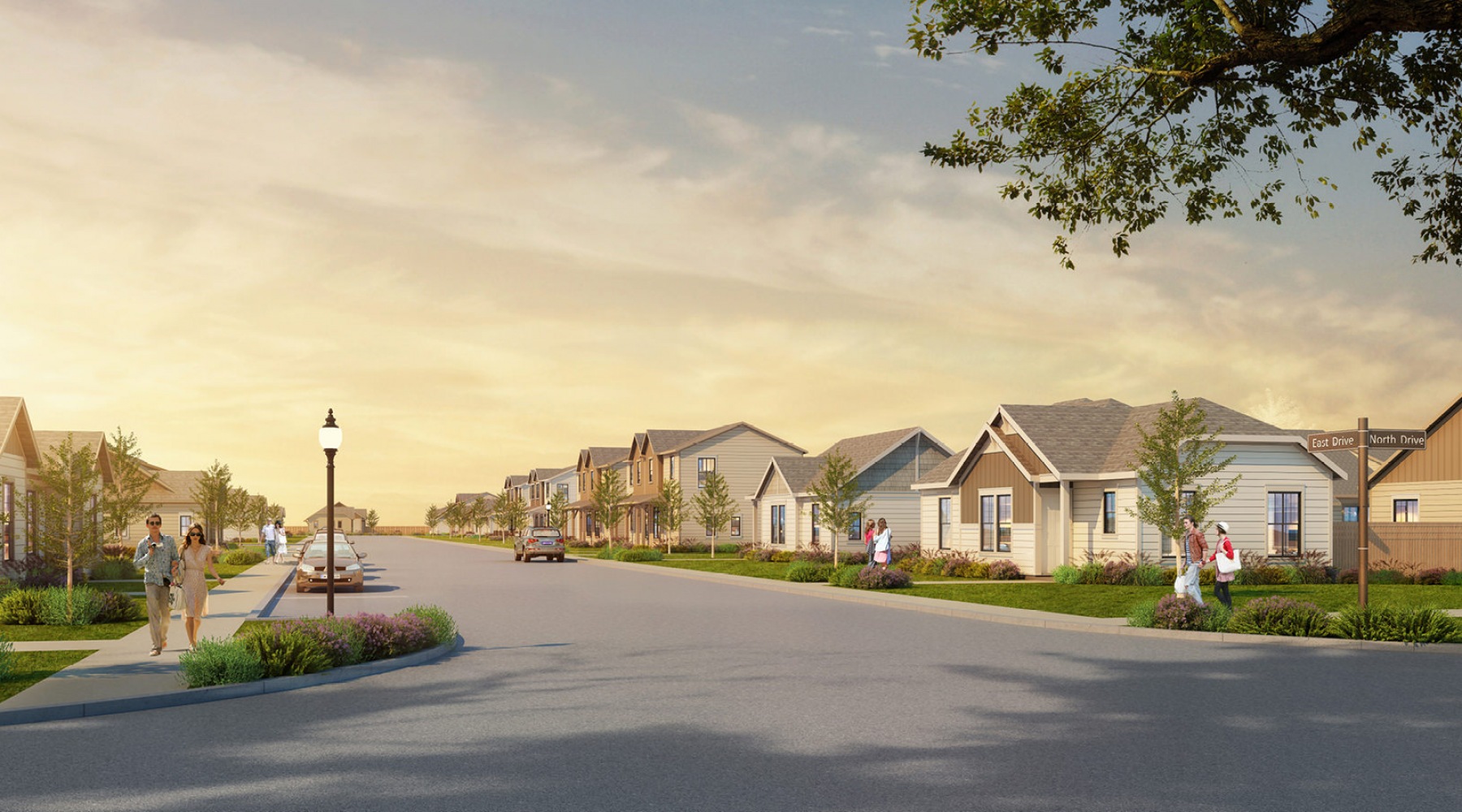 parallax image Avendale at The Colony
