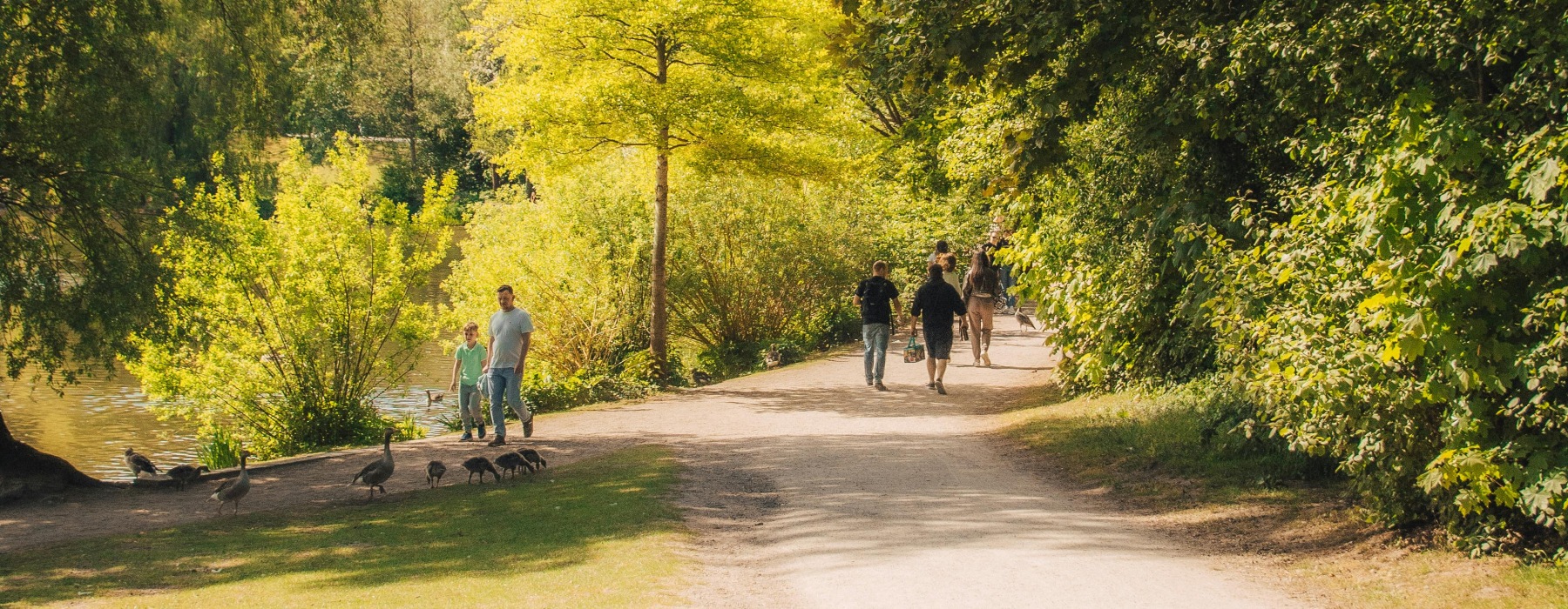 Living at The Colony in Bastrop, TX